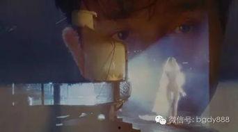 国产最新三级片